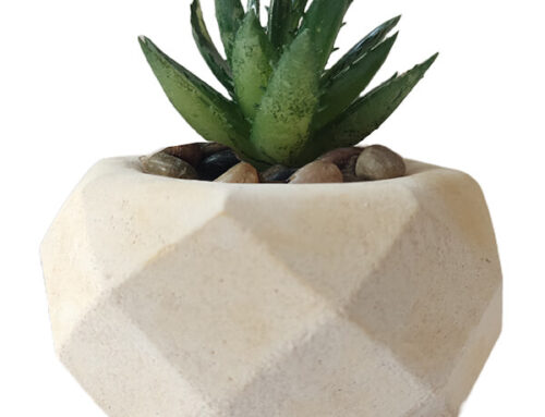 Creative Ideas For Incorporating the Potted Succulents Into Home Decor