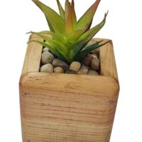 Amousa Succulent Potted In Cube Wooden Pot - Image 2