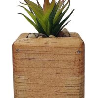 Amousa Succulent Potted In Cube Wooden Pot