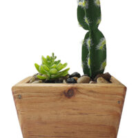 Potted Succlent In Oblong Trapezium Wooden Pot - Image 2